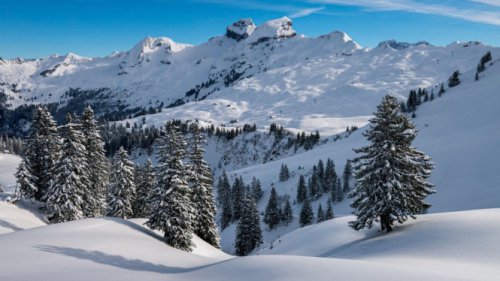 1. Zermatt, Swiss, 2. Lapland, Finlandia, 3. Niseko, Jepang, 4. Banff National Park, Kanada, 5. Reykjavik, Islandia, 6. Praha, Republik Ceko, 7. New York, Amerika Serikat, Rencanakan Lihat Salju di 2025, 7 Destinasi Dunia untuk Liburan Musim Dingin