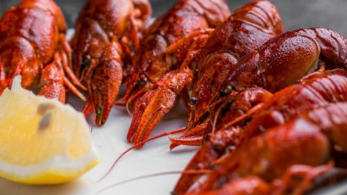 Asal-Usul dan Karakteristik Udang Carabineros, Harga Tinggi: Apa Penyebabnya?, Keistimewaan Rasa dan Gizi, Cara Pengolahan yang Menggugah Selera, Fenomena Kuliner di Indonesia, Tips Memilih dan Menyimpan Udang Carabineros, Harga Udang Carabineros Rp450 Ribu per Ekor, Apa Spesialnya?