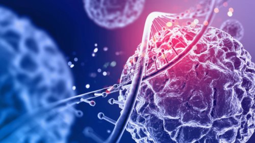 BPOM Tegaskan Terapi Stem Cell Tak Boleh Dilakukan Sembarangan, Ada Sanksi Pidana 12 Tahun