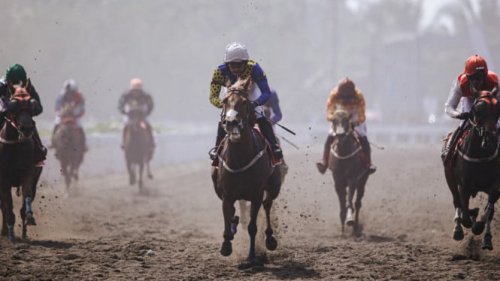 4 Fakta Indonesia&rsquo;s Horse Racing-Merdeka Cup 2025, Laga Pacuan Kuda Berlatar Panorama Laut Pangandaran
