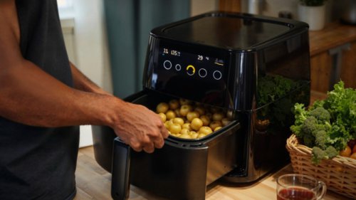 Top 7+ Makanan yang Makin Enak Dimasak Pakai Air Fryer, Coba Deh!