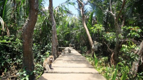 Top 5+ Wisata Hidden Gem di Banjarmasin yang Belum Terjamah, Jadi Keindahan Tersembunyi