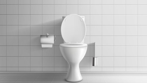 Tips Mengatasi WC Mampet dengan Cepat 3 Bahan Ajaib yang Ada di Rumah
