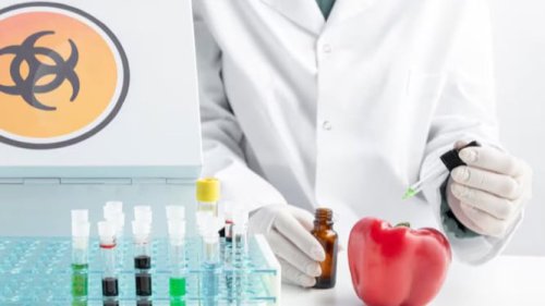 Job Desk Unik tapi Nyata, Intip 9 Profesi 'Aneh' yang Gajinya Fantastis