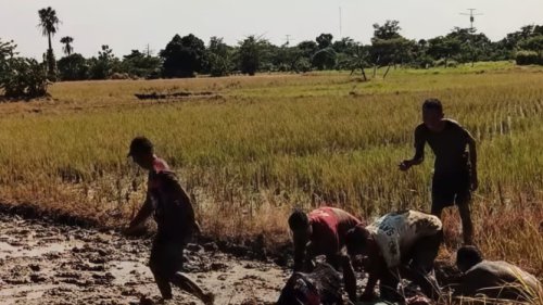 Mengintip Perayaan Sedekah Bumi di Tanjung Lesung, Tradisi Memohon Tanah yang Subur