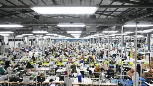 Bahagia di Kantor Bukan Mimpi: Tips Menjaga Keseimbangan di Dunia Kerja Modern