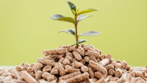 Mengenal 12 Ide Bisnis Industri Biomassa yang Naik Daun, Peluang Cuan Menjanjikan