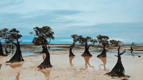 Tanah&ndash;Tangan&ndash;Tutur, Kacamata Baru untuk Menikmati Wisata Sumba Timur
