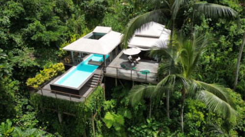 Rekomendasi Tempat Lamaran dan Honeymoon di Tengah Rimbunnya Hutan Ubud
