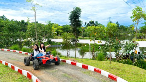 1. Holiday Program Bertema Family Edu Fun, 2. Promo Tiket Buy 4 Get 5, 3. Birdshow Atraktif Hingga Empat Kali Sehari, 4. Feeding Time dan Keeper Talk, 5. Ragam Wahana Keluarga yang Seru, Ramai Diburu untuk Libur Nataru, Ini Deretan Aktivitas Menarik di Aviary Park Indonesia