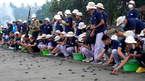 Cara Daihatsu Ikut Jaga Lingkungan, Gandeng Konservasi