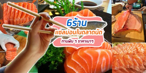 Salmon Cat, , Yume plus sushi, ซูชิคุมะ ShuShi Kuma, จ่ามอส แซลม่อน ซีฟู๊ด, , กินดิบ, , Top 6+ ร้านซูชิ แซลมอนซาชิมิ ตลาดนัด : คัดคุณภาพเน้นๆ ราคาสบายกระเป๋า