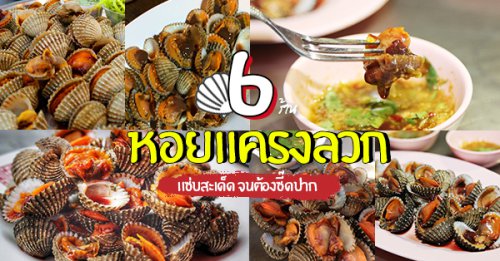 Top 6+ ร้านหอยแครงลวกรสเด็ด แซ่บสะเด็ดจนต้องซี๊ดปาก