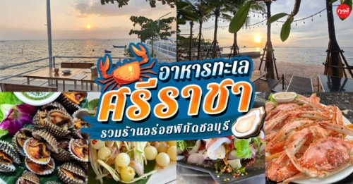 Pop View, ครัวบ้านกลางทะเล, Ripple Sea, ร้านลับหมึกช๊อต อ่าวอุดมซอย17, , ร้านป๋าดำซีฟู้ด, ป้าแอ๊ดซีฟู๊ด, ติดดินซีฟู้ด, มุมอร่อย ศรีราชา, TOH CREW, เรือนน้ำซีฟู๊ด ศรีราชา, ครัวทะเล จันผา, ร้านอาหาร เฒ่าทะเล ซีฟู๊ด อ่าวอุดม, ร้านป้อมกินแล้วรวย, Top 14+ ร้านอาหารทะเลศรีราชา อาหารทะเลสดใหม่บรรยากาศดีน่านั่ง @ชลบุรี