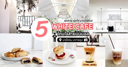 Rainforest Cafe Bangkok, Fah cafe and more, Obsessed brew'bar, Glo bkk, Define Cafe, Top 5+ ร้าน White Cafe คาเฟ่โทนสีขาวโดนใจสายมินิมอล น่าถ่ายรูป น่าเช็คอิน