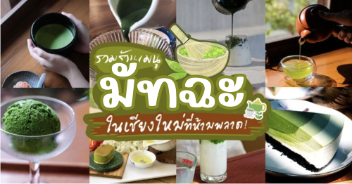 Matchappen, DWBH CAFE, Minna Matcha, , Magokoro Teahouse, Nekoemon Cafe Chiang Mai, คาเฟ่ ชาเขียว มัทฉะ เลิฟเวอร์ @เชียงใหม่ ร้านบรรยากาศดี น่าถ่ายรูปเพียบ!