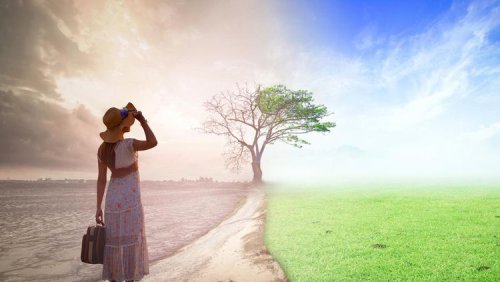 Cerita Perempuan yang Alami Mati Suri 6 Menit, Ini yang Dilihatnya saat 'Meninggal'