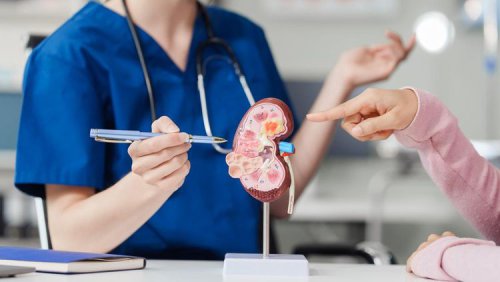 Jarang Disadari, Ini Gejala Awal Ginjal Bermasalah Menurut Dokter