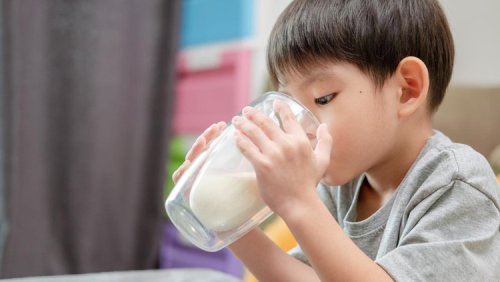 Ini Susu Anak Termahal di Dunia, Ternyata Bukan Berasal dari Sapi Perah
