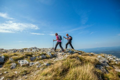 Hiking Ternyata Bagus untuk Kesehatan Mental, Ini Penjelasannya