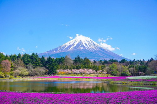 Pendakian Gunung Fuji di Jepang Buka Lagi, Tarif Naik 2 Kali Lipat