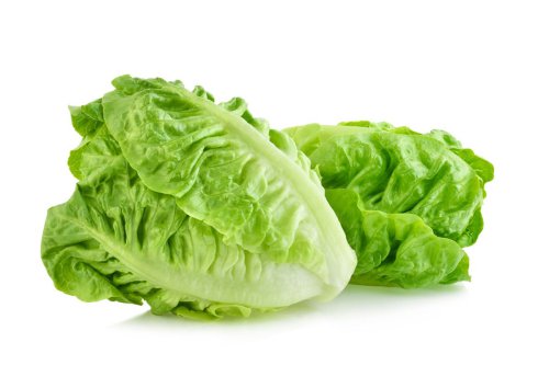 Apa itu bercak seperti karat pada selada?, Apakah selada dengan bercak oranye aman dimakan?, Cara mencegah bercak pada selada makin parah, Kesimpulan, Apakah Bercak Seperti Karat pada Daun Selada, Apakah Aman Dimakan?