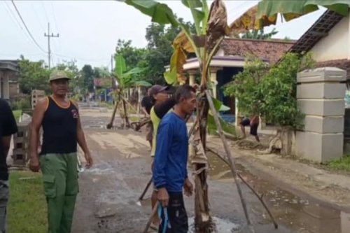 Bupati Nganjuk Akui Jalan Rusak Ditanami Pisang Paling Parah, Janji Perbaikan Jelang Lebaran