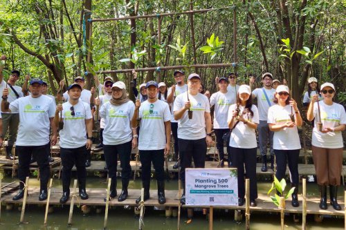 ZTE Wujudkan Misi "One Tree, One Future", Tanam 500 Pohon Mangrove di PIK
