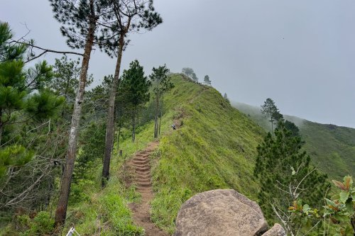 Mendaki Gunung Andong via Temu Kidul yang Lagi Ramai, Seperti Ini Kondisi Jalurnya