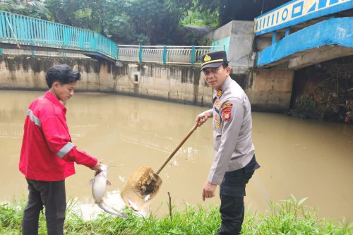 Apa Dampak Jangka Pendek dan Panjang Kebakaran Gudang Pestisida di Tangsel? Ini Penjelasan BRIN