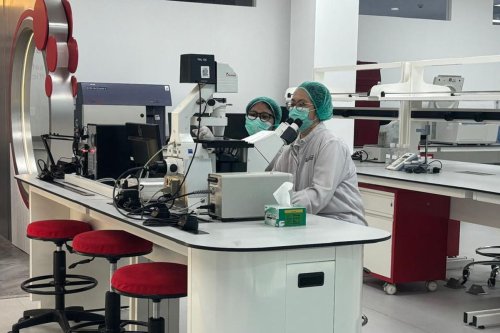 sel punca, terapi stem cell, Sel Punca, Terapi stem cell, stemcell, donor stem cell, Stem Cell, Terapi Penyakit yang Menjanjikan tapi Bukan Obat Ajaib