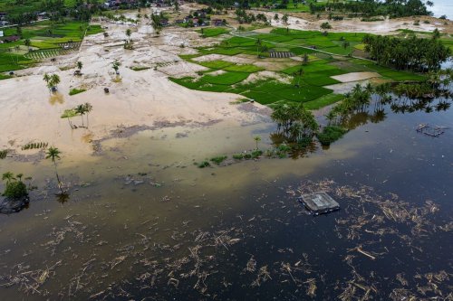 Mendagri Tito Karnavian Minta Investigasi Soal Kayu Gelondongan yang Hanyut di Tengah Banjir Sumatera
