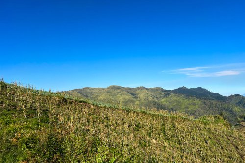 Jam Buka dan Harga Tiket Bukit Premium, Padang Sabana di Pasuruan