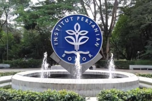 Top 10+ Universitas Negeri Terbaik di Pulau Jawa Versi QS WUR 2025: UI Nomor 1, ITB Salip IPB