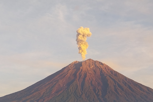 Gunung Semeru, Semeru, gunung semeru, semeru erupsi hari ini, Semeru erupsi, Gunung Semeru Erupsi Lagi, Tinggi Letusan 800 Meter
