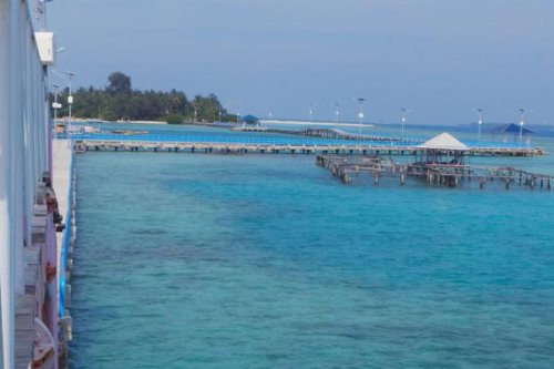 Mengapa Tidung Kecil Dinilai Paling Cocok Jadi Pulau Kucing Jakarta?