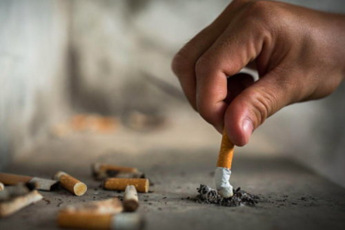 Kontroversi Usulan Gerbong Perokok, Gibran Ingatkan Aturan Transportasi Bebas Rokok