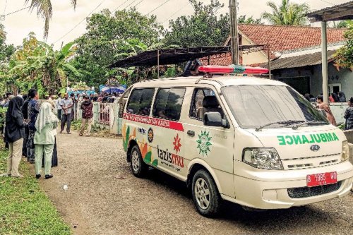 Warga Cilacap Tewas Disengat Tawon Vespa, Bagaimana Cara Aman Mengusirnya?