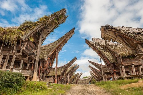 Top 7+ Hal Seru yang Cuma Bisa Kamu Temukan di Tana Toraja, Negeri di Atas Awan