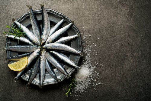 Ikan Kecil Seperti Sarden dan Teri, Ternyata Punya Manfaat Kesehatan yang Besar