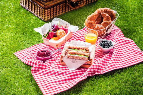 Tips Aman Membawa Makanan Saat Piknik, Awas Jangan Sampai Basi