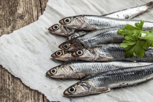 Tips Memilih dan Menyimpan Ikan Teri Segar Agar Awet Lama