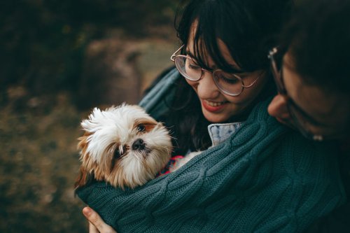 4 Zodiak Dikenal Paling Penyayang pada Hewan Peliharaan, Siapa Saja?