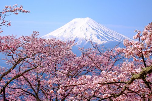 Terbang ke Tokyo, Bonus Jelajah Jepang Gratis? Cek Cara Dapatnya