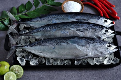 Ikan Tongkol Bisa Bikin Gatal, Ini Cara Membersihkan Racunnya