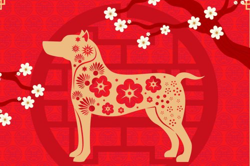 Cek Peruntungan Shio Anjing di Tahun Kuda Api 2026