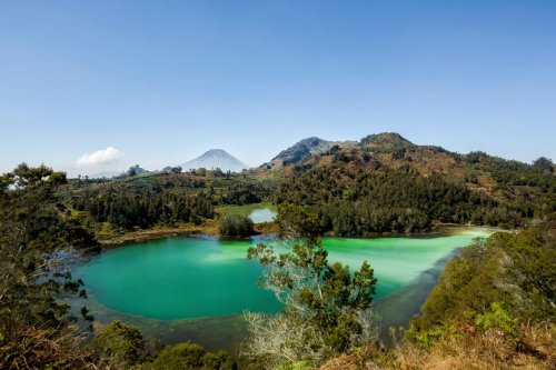 Damri Buka Rute Lampung-Wonosobo, Tiket Mulai Rp 300.000