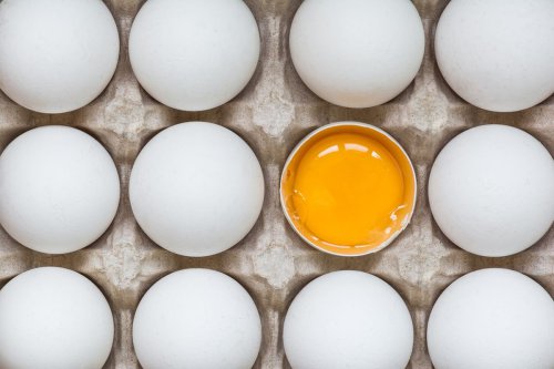 Beda Telur Ayam Kampung Asli dan Palsu, Jangan Sampai Tertipu