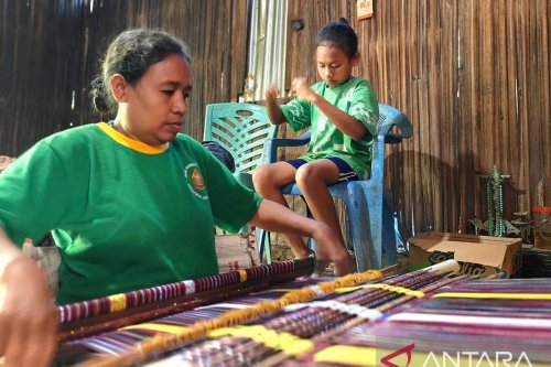Bagaimana Kehidupan Irene Sebelum Masuk Sekolah Rakyat Kupang?