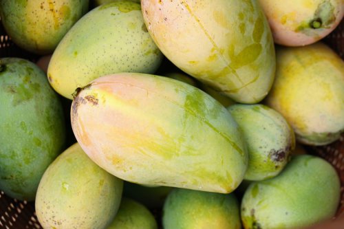 Cuma Kebagian Mangga Mentah, Ini 5 Cara Bikin Mangga Cepat Matang